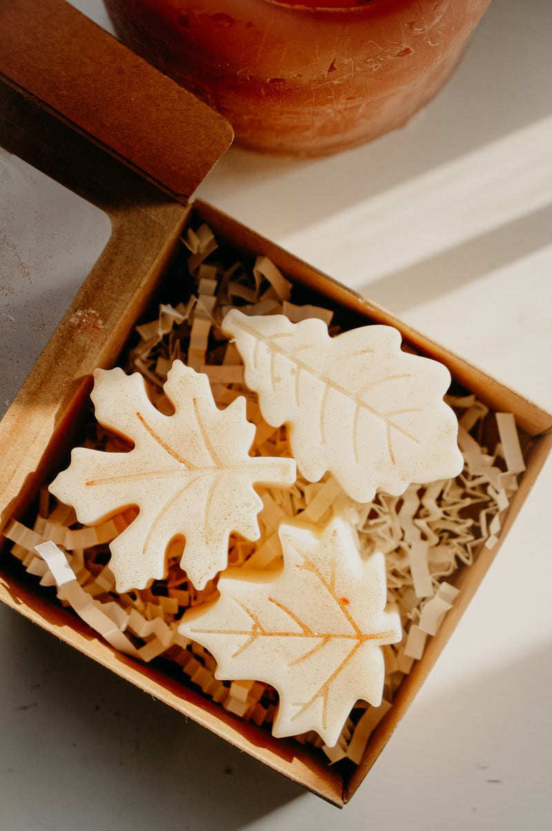 All Too Well Shimmer Taylor Soy Wax Leaves Melts