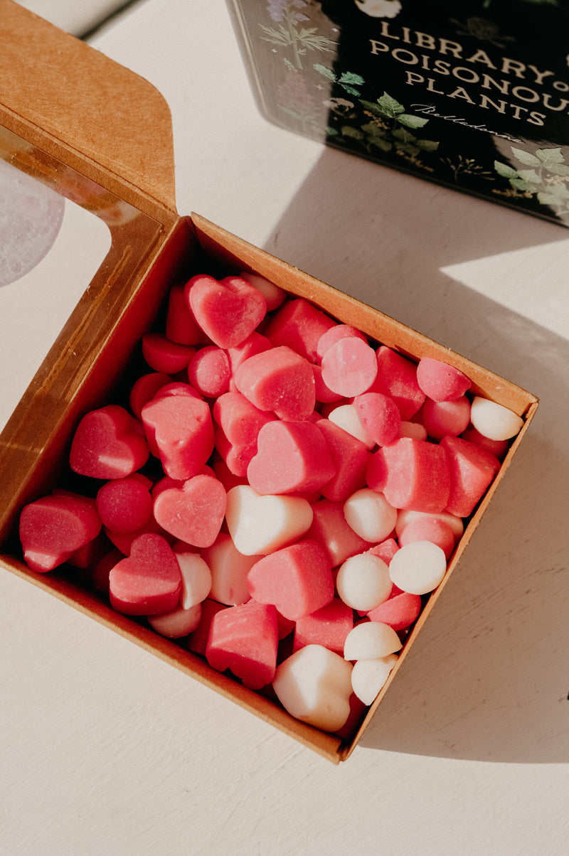 Book Lover Creamy Honey Shimmer Scented Wax Melts