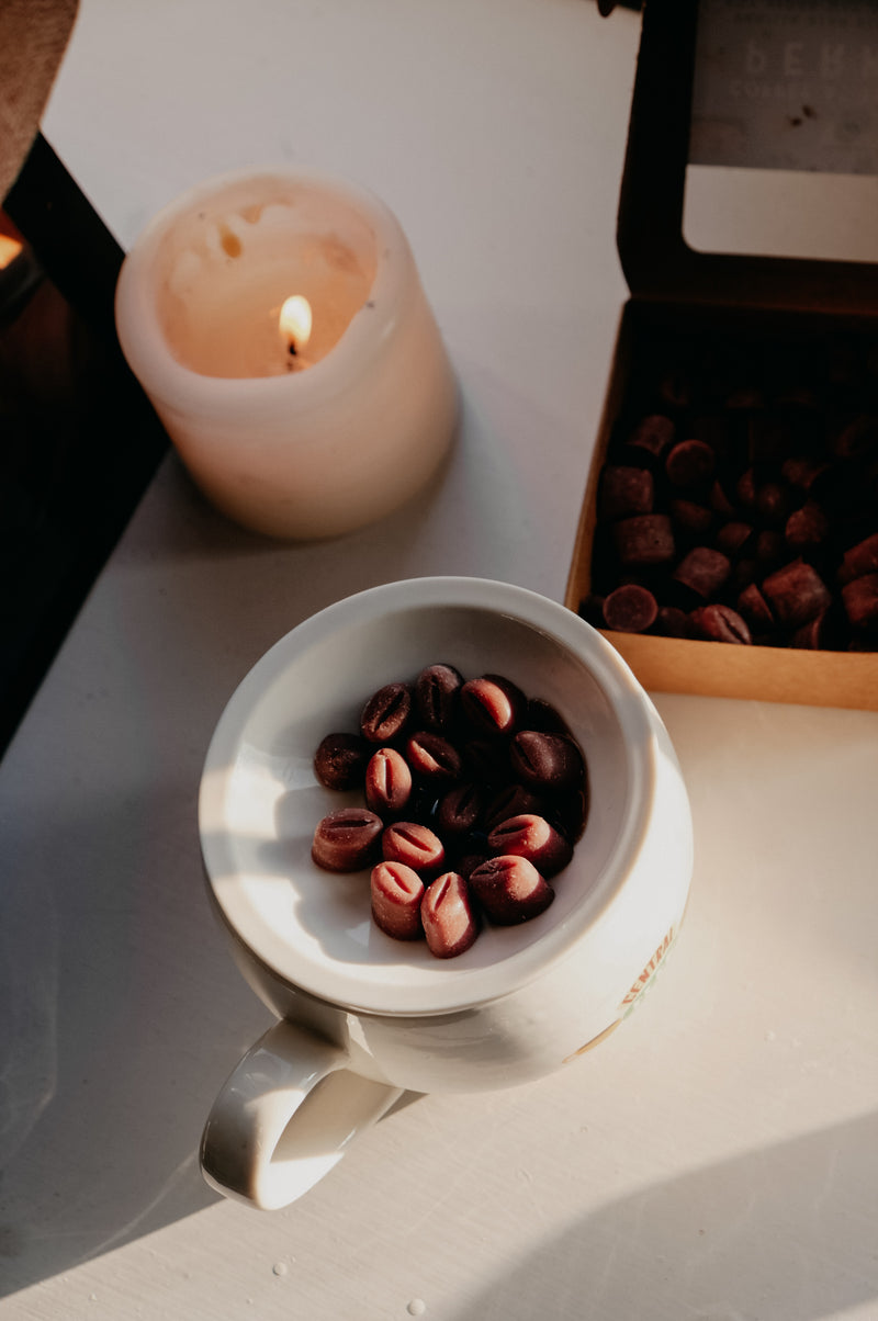 Perk Coffee Inspired 2 in 1 Melt Burner and Incense Burner