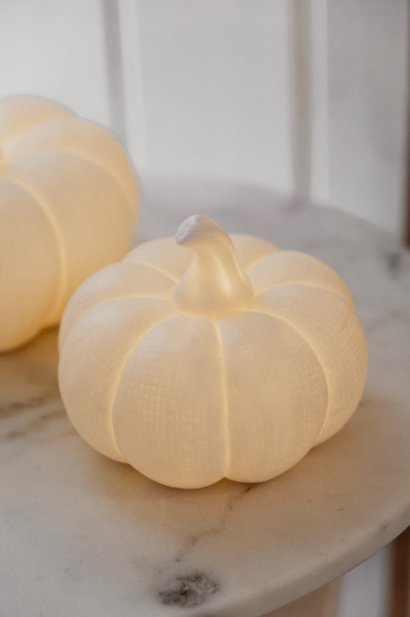 Ashley LED Light-Up Textured Halloween Autumn Pumpkins