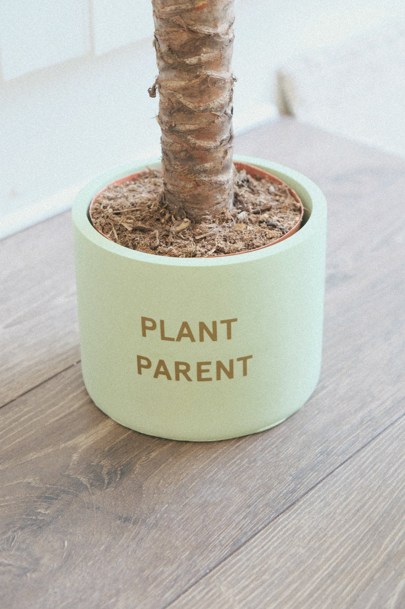 Personalised Concrete In-Door Plant Pot