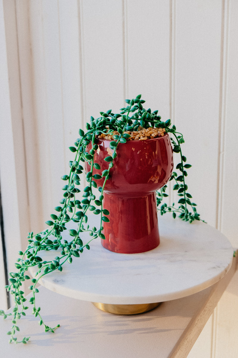 Robyn Brown Ceramic Trailing Faux Indoor Plant Pot