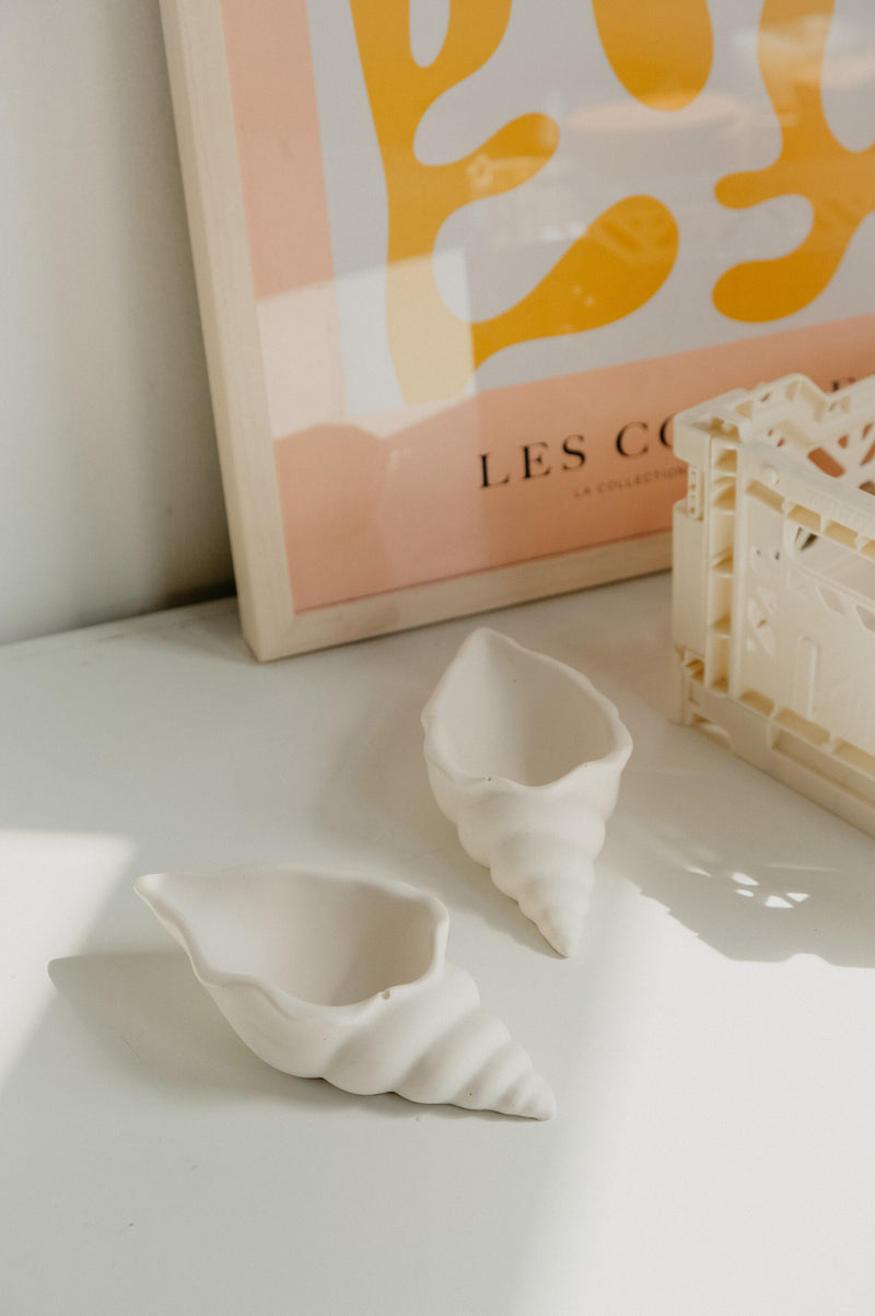 Lucie Shell Conch Jewellery Trinket Dish