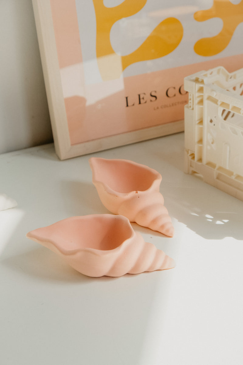 Lucie Shell Conch Jewellery Trinket Dish