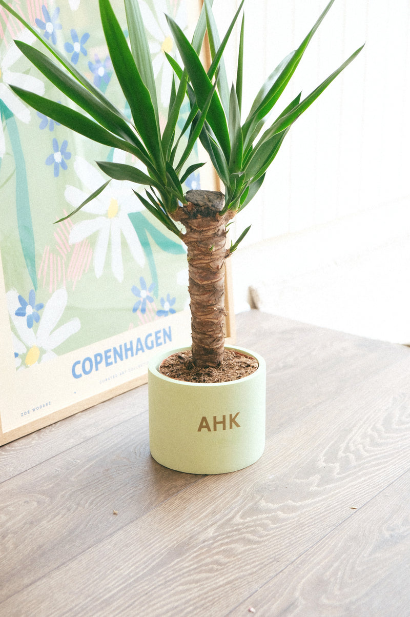 Personalised Concrete In-Door Plant Pot