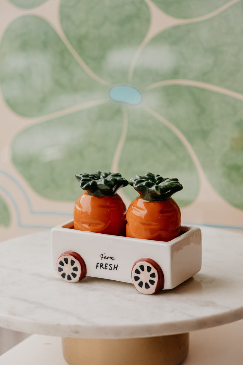 Cottagecore Carrot Salt and Pepper Shakers