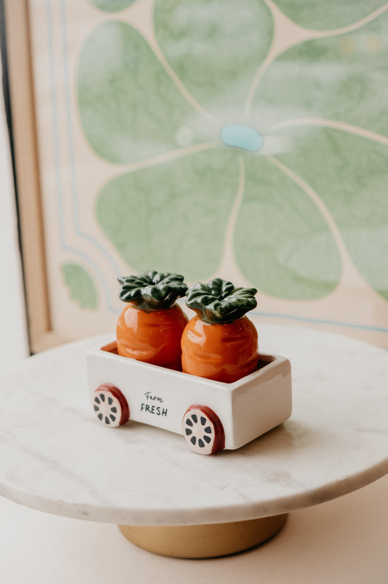 Cottagecore Carrot Salt and Pepper Shakers