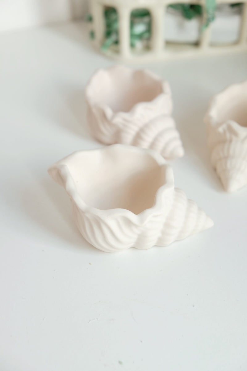 Mathilde Shell Conch Jewellery Handmade Trinket Dish