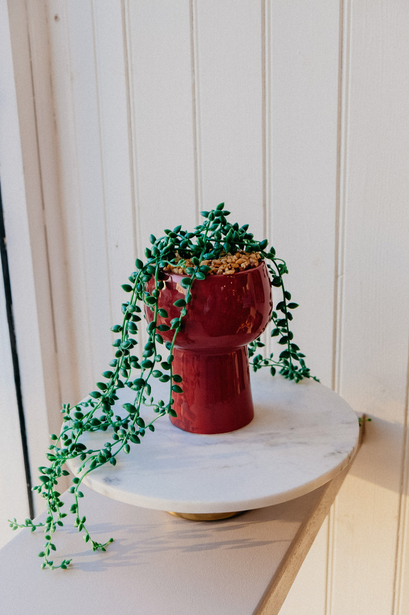 trailing faux plant in pot Robyn Brown Ceramic Trailing Faux Indoor Plant Pot – Ajouter
