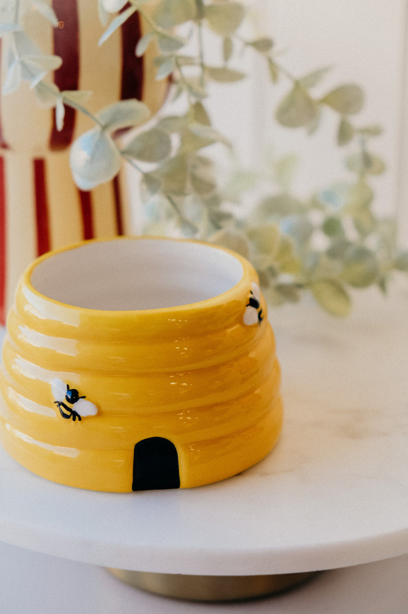 Honey Beehive Ceramic Indoor Plant Pot