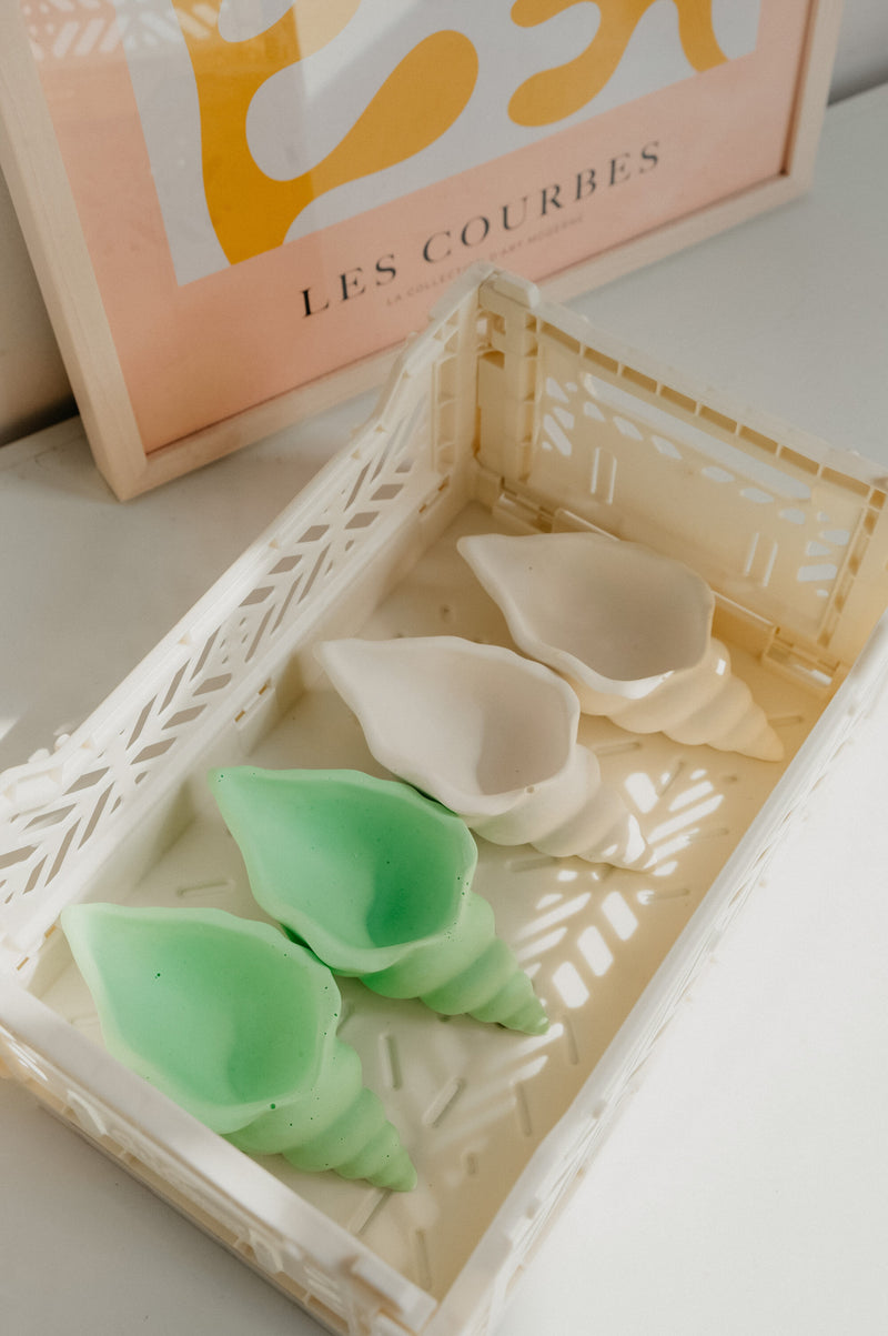 Lucie Shell Conch Jewellery Trinket Dish