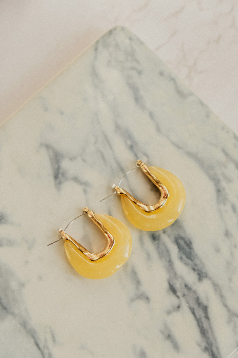 Eilidh Chunky Retro Resin Oval Hoop Earrings