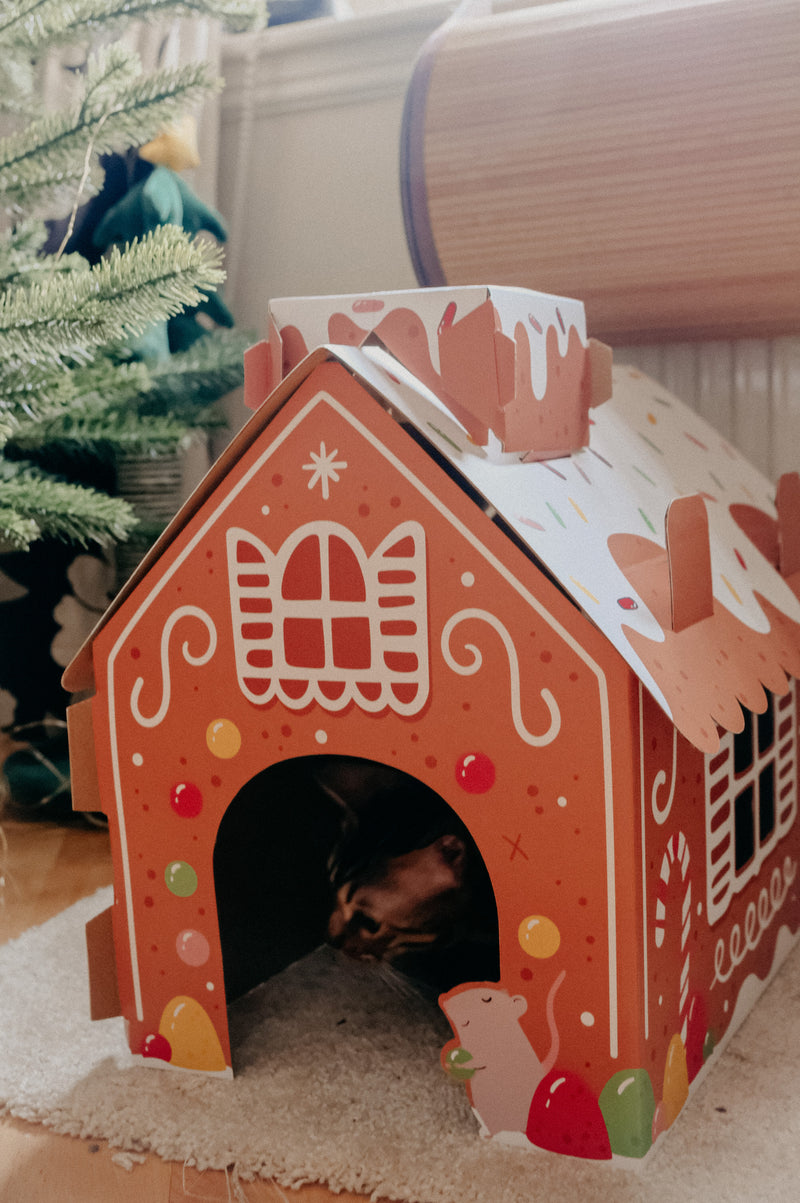 Christmas Gingerbread House Cat Playhouse - Build it Yourself